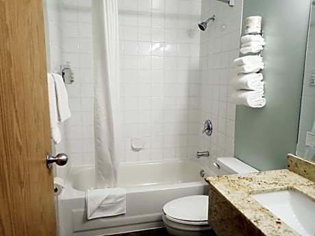 Queen Studio Suite/ Ground Floor - Non-Smoking