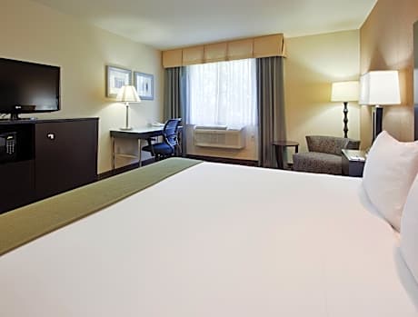 1 Queen Suite Kitchenette