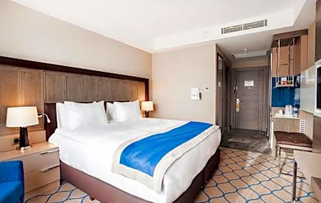 1 King Bed Standard Non Smoking