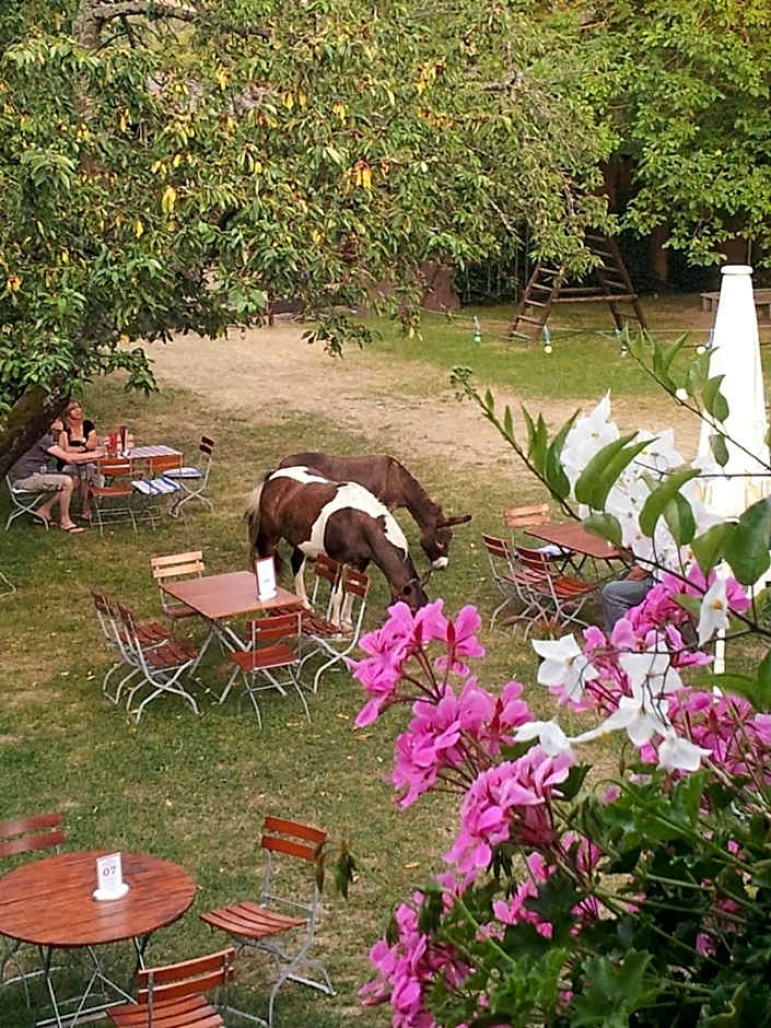 Hotel Alber