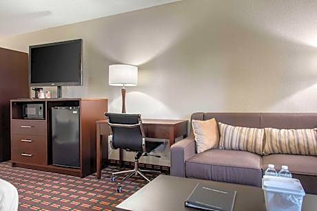 1 King Bed, Suite, Nonsmoking