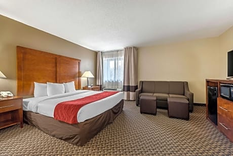1 King Bed, Suite, Nonsmoking