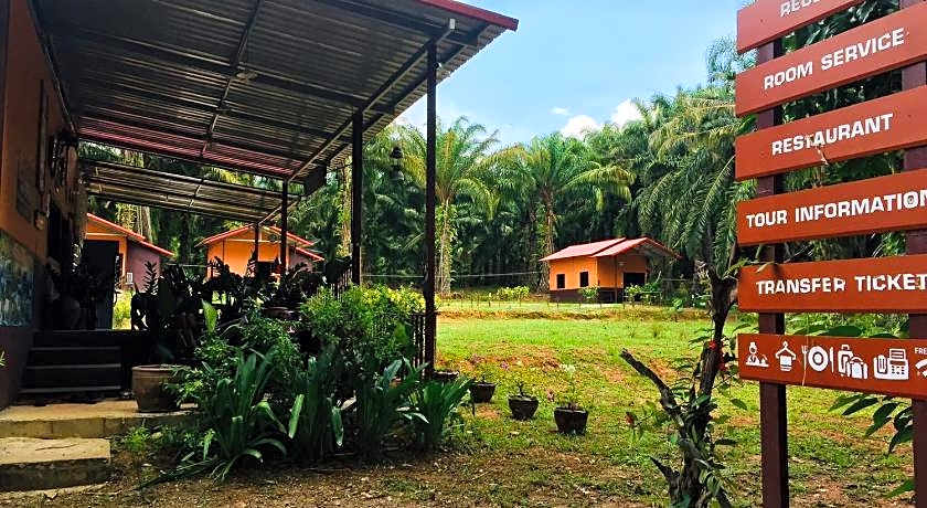 Khao Sok Evergreen House