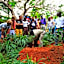 Distant Relatives Ecolodge & Backpackers
