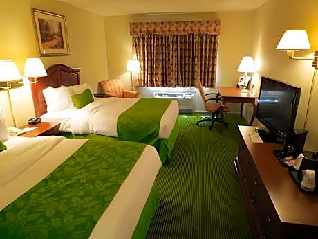 Double with 2 Double Beds - Non-Smoking