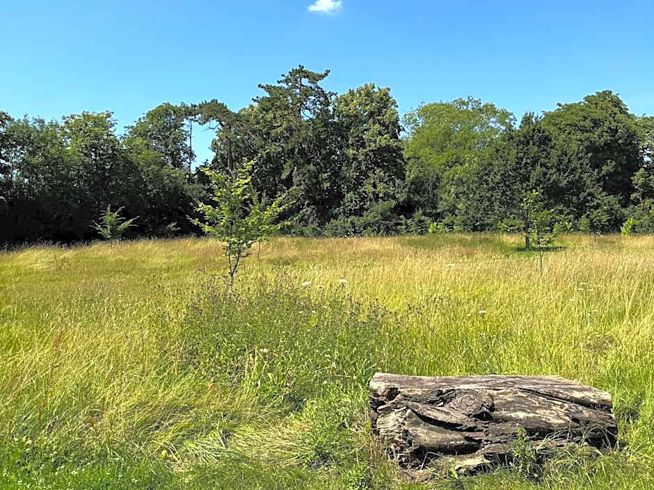 Hookwood Lodge London Gatwick