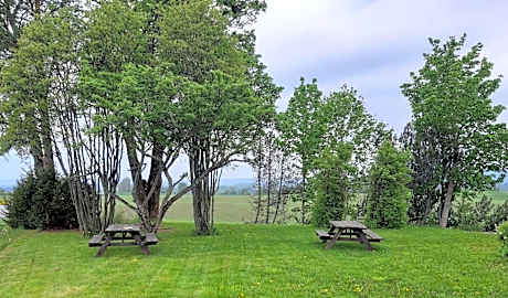 Bedder At Oslo Airport