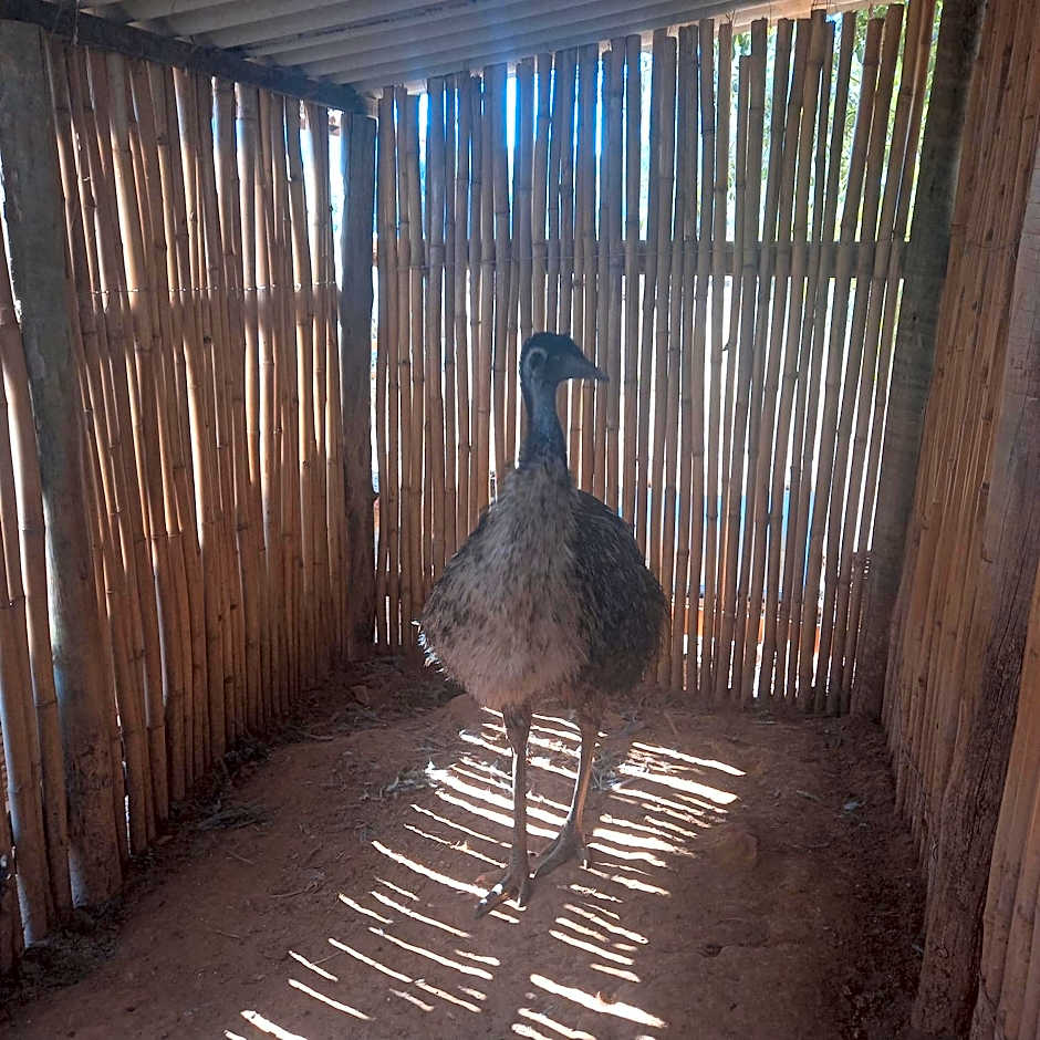 Pousada Campestre Vila Tiradentes