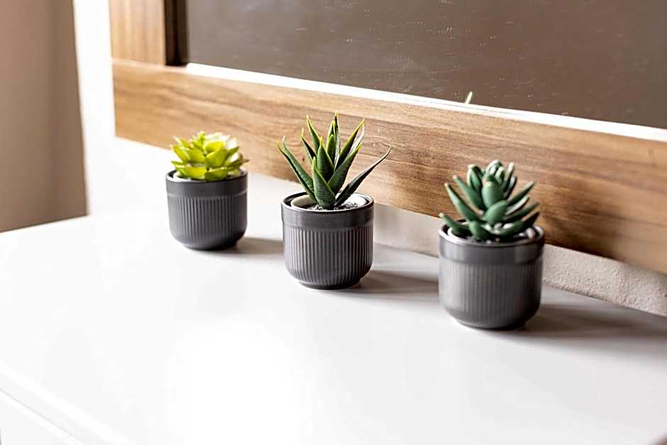 505 Heart of CDMX 1Bdrm 1bath apt AC Rooftop