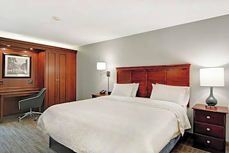 1 King Bed With Refrigerator And Microwave Ns