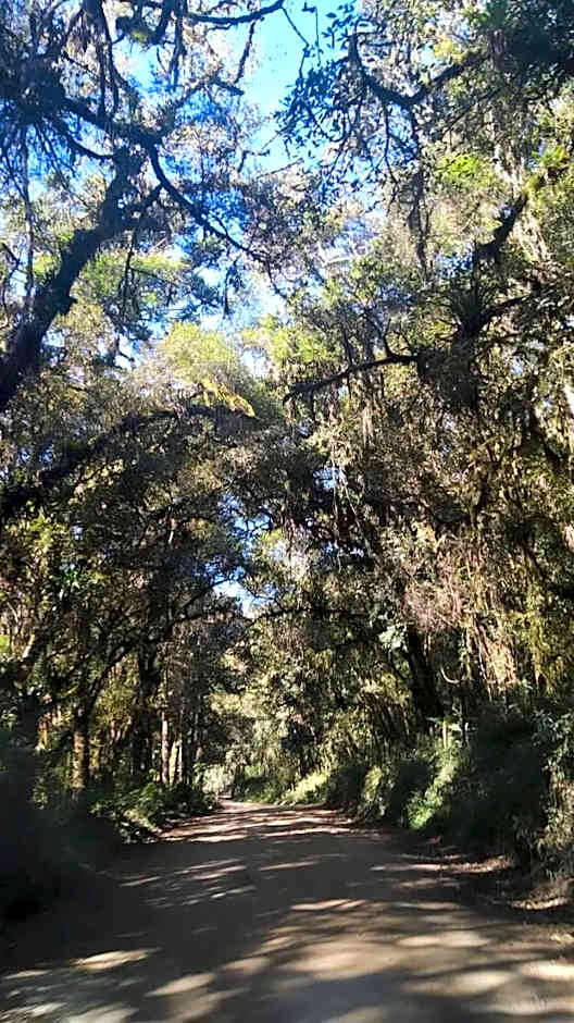 Chalés Cantinho do Céu