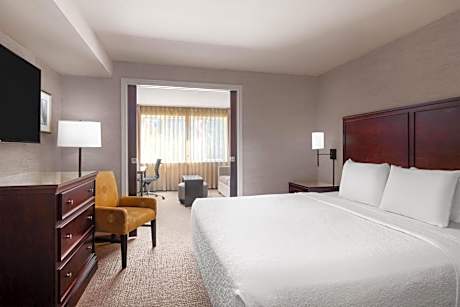 King Suite with Sofa Bed - Non-Smoking