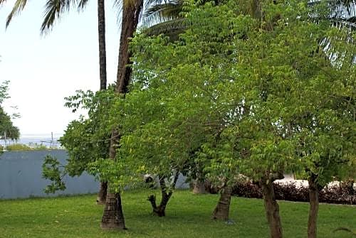 Pwani Beach Hotel & Apartments