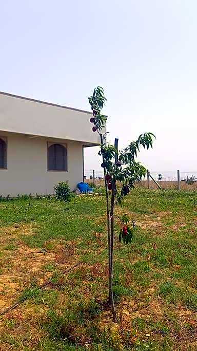 Ferme de Rêve, logement Entier à Louer