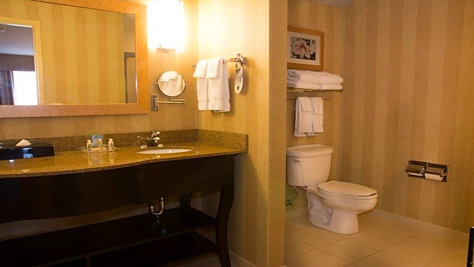 Holiday Inn Saint Louis-Fairview Heights By IHG
