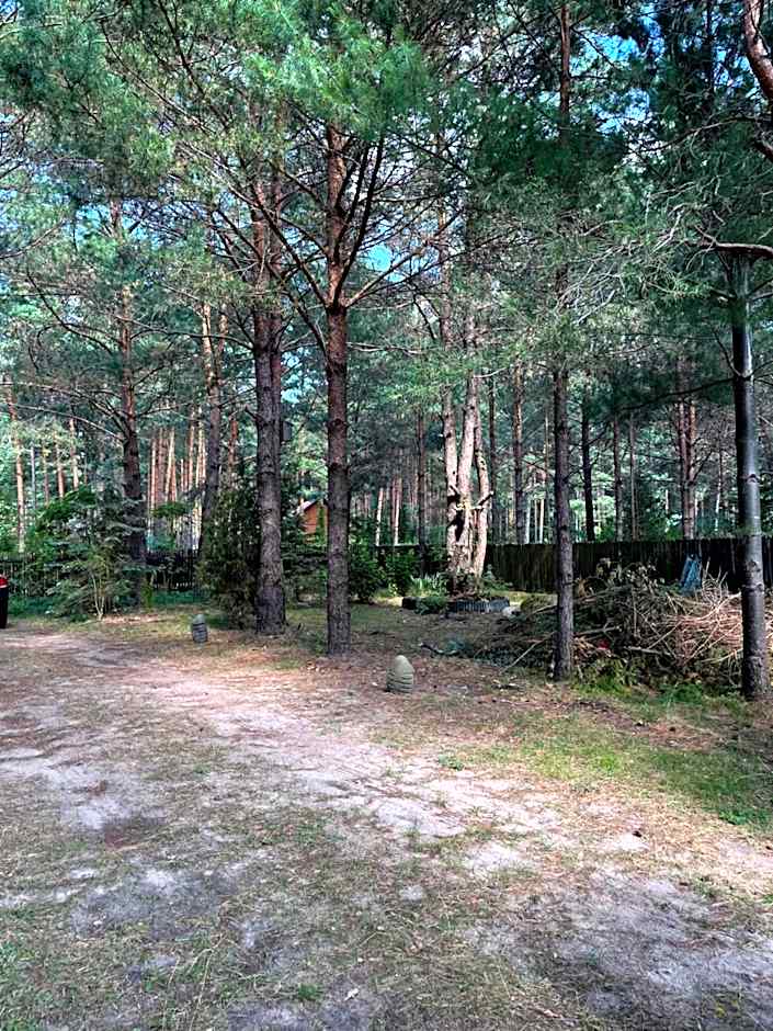 Domek całoroczny u Zosi