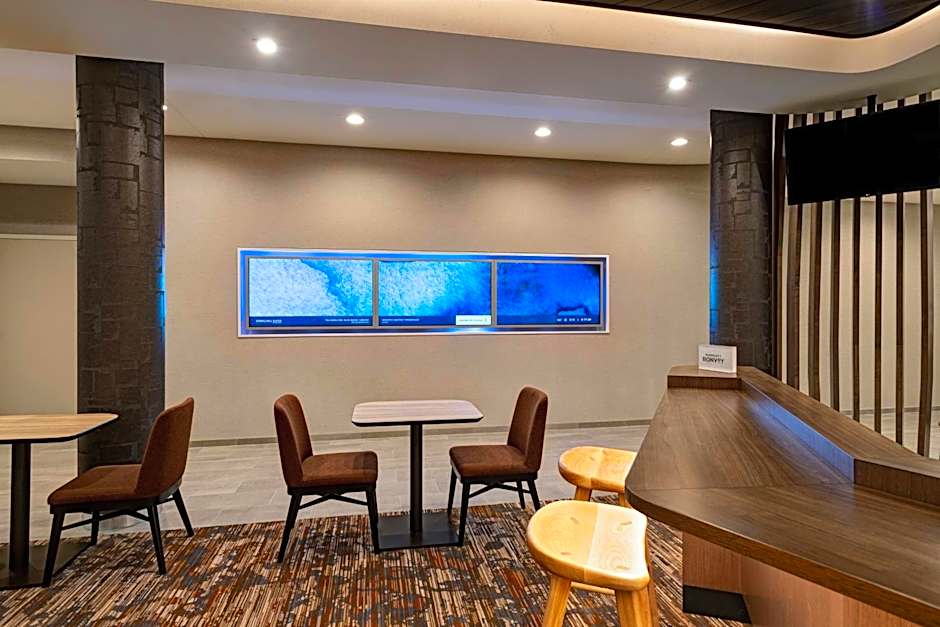 SpringHill Suites by Marriott Dallas Richardson/University Area