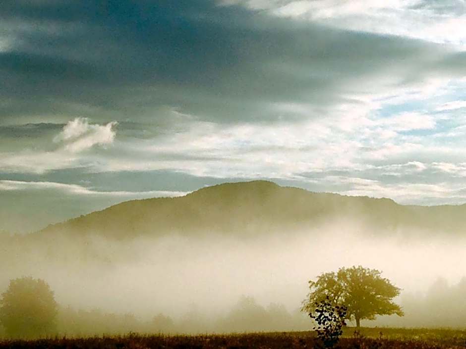 Modryna - Modrzewiowy Dom