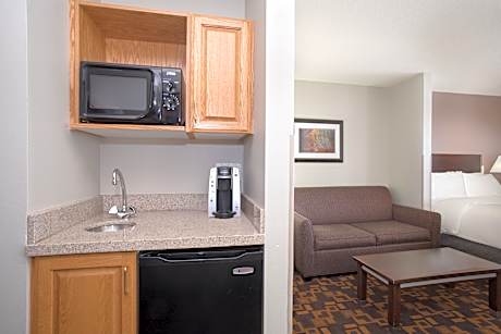 2 Queen Suite Sofa Bed