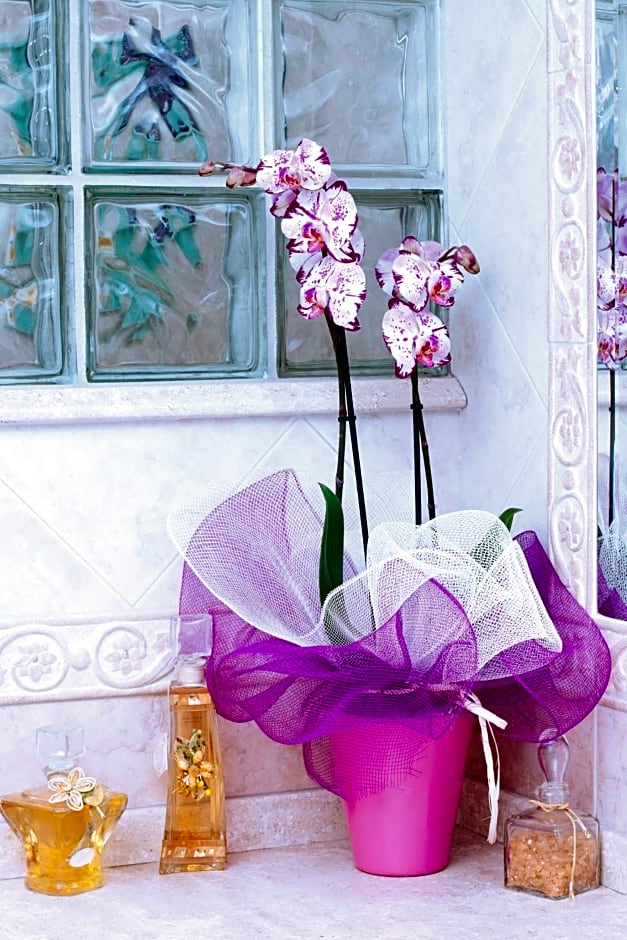 Il Vecchioliveto di Ornella