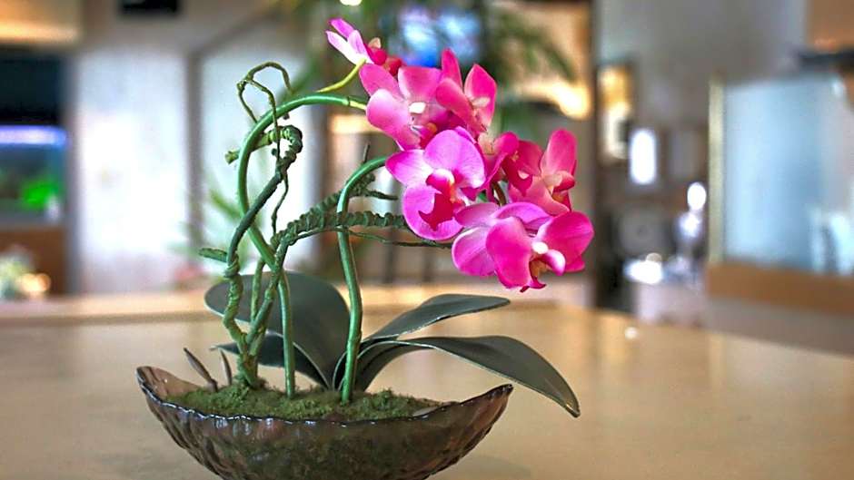 Business Hotel Furusato