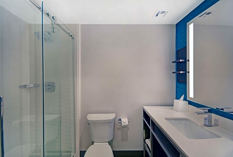 Hilton Garden Inn Houston Hobby Airport