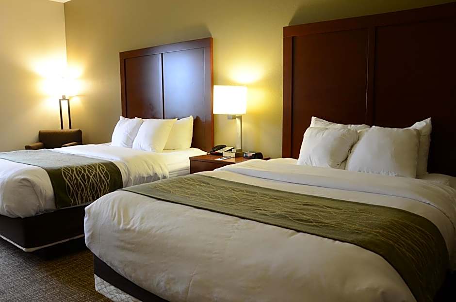 Comfort Inn & Suites Cave City