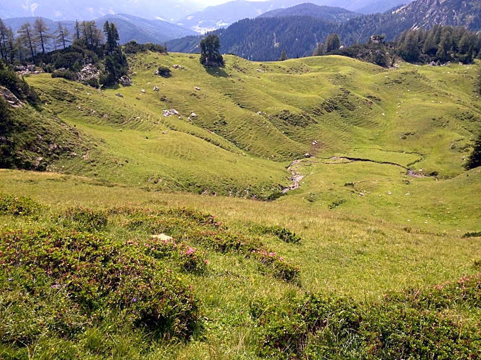 Hotel am Sonnenhügel