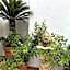 Hotel Park Calitto