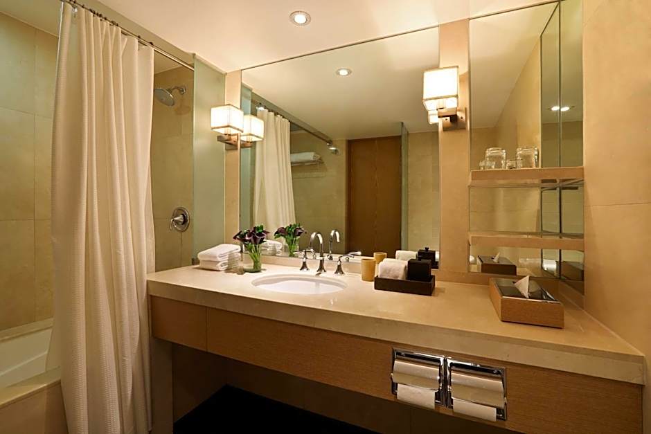 Hyatt Regency Mexico City