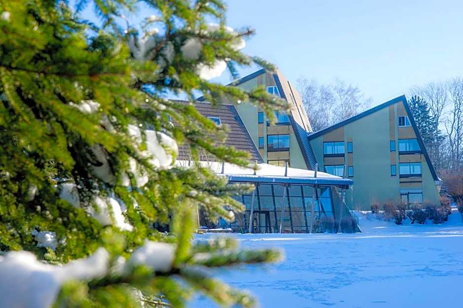 VTF Le Domaine des Puys