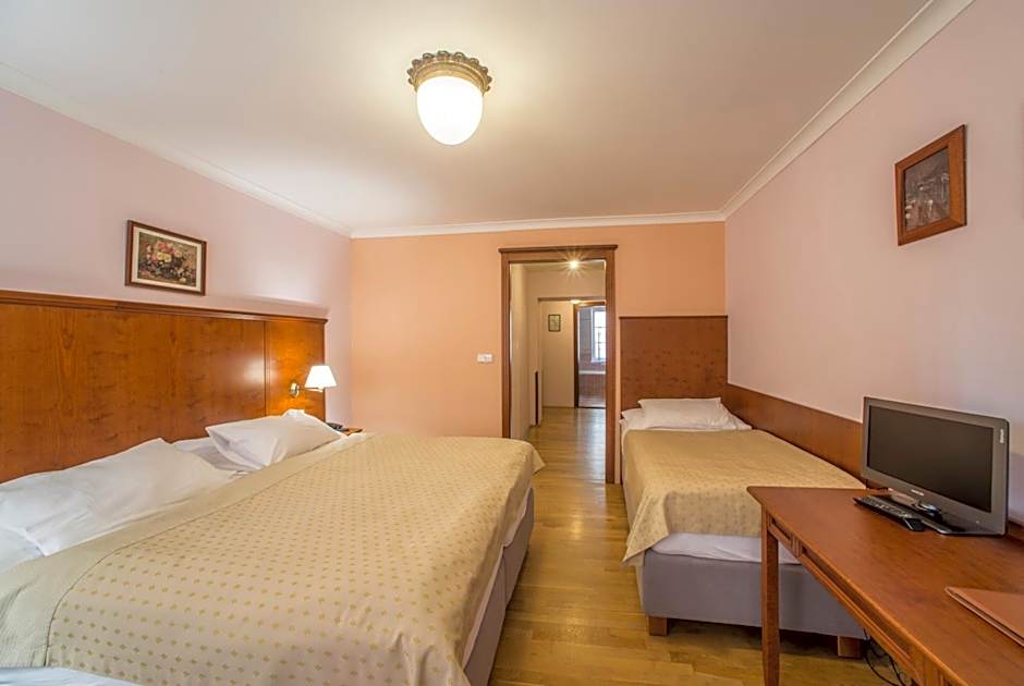 Hotel Cerny Slon