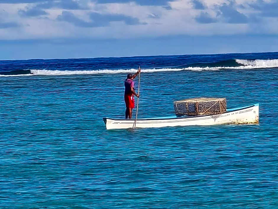 Bon Vivant Front de Mer - Ile Rodrigues