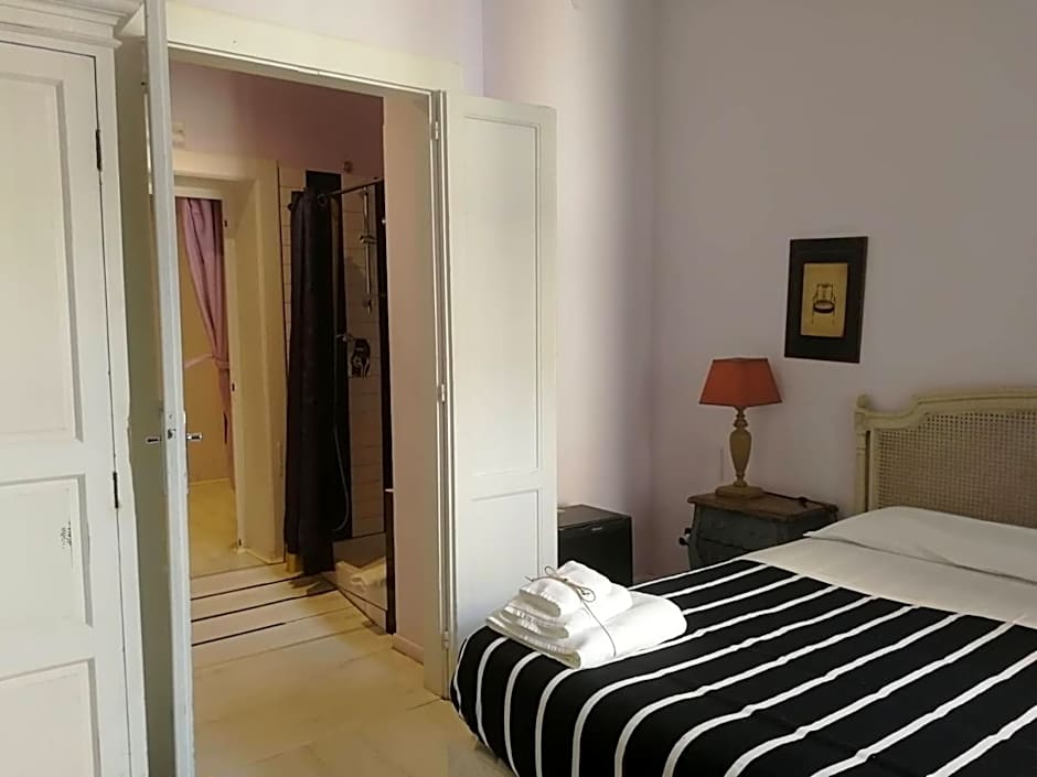 Gatto Bianco Casa Dei Venti