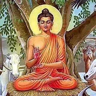 Chambre d'hôte Zen chez Philippe Parking free