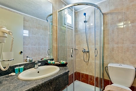 Apartment plunge pool garden view 