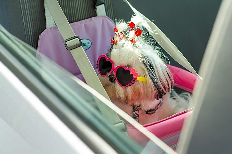 Nord Easy Green Sunset