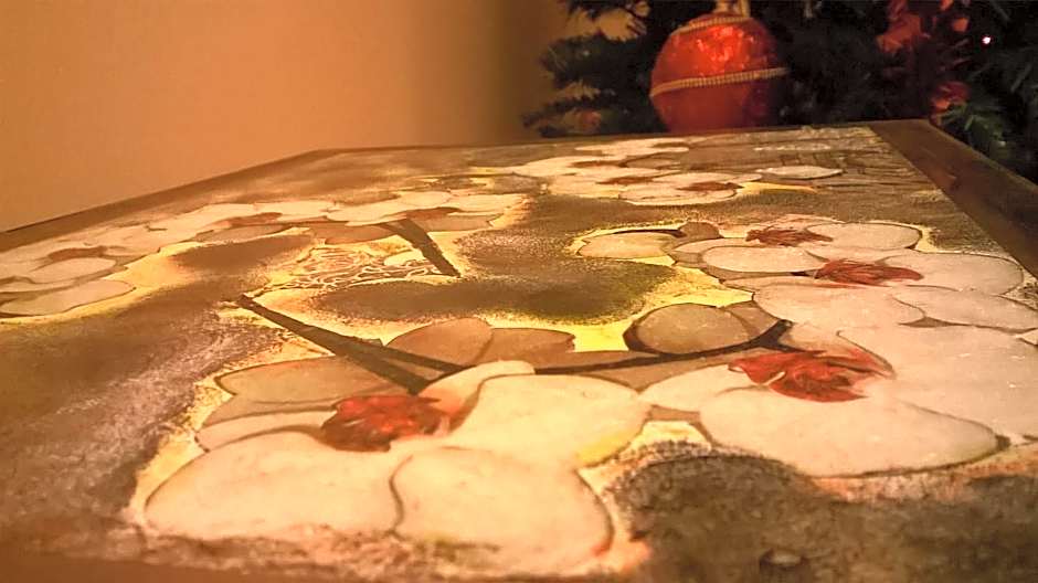 Camera tip economic Mozart