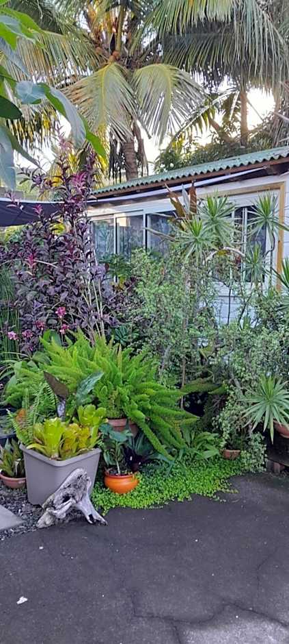 Ambiance sud sauvage