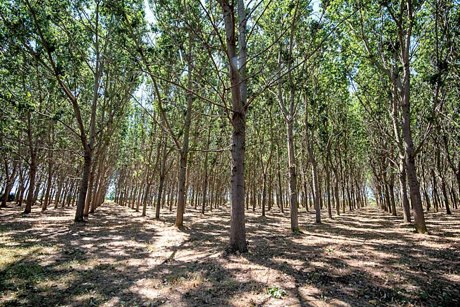 Ghiacci Vecchi Residence