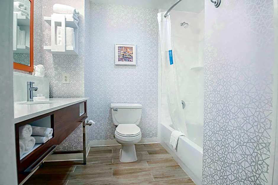 Hampton Inn By Hilton Baton Rouge - Denham Springs