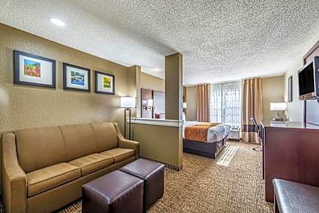 King Room with Roll-In Shower - Accessible/Non-Smoking