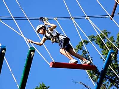 Záviš z Falkenštejna