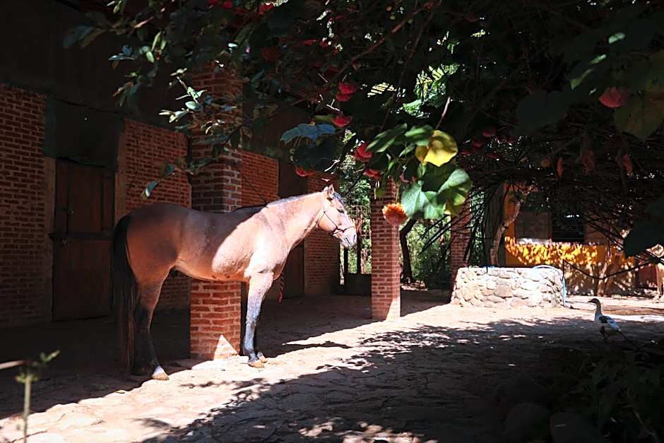 Rancho con Caballos El Reencuentro