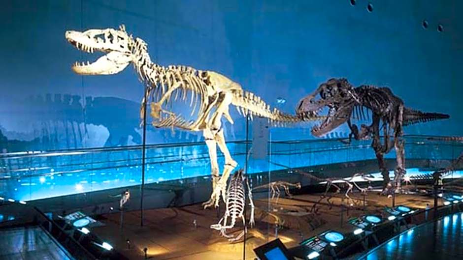 Kyukamura Echizen-Mikuni