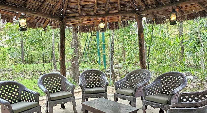 The Celebration Van Vilas