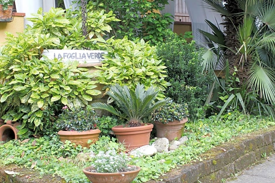 B&B La Foglia Verde – Massa, WI