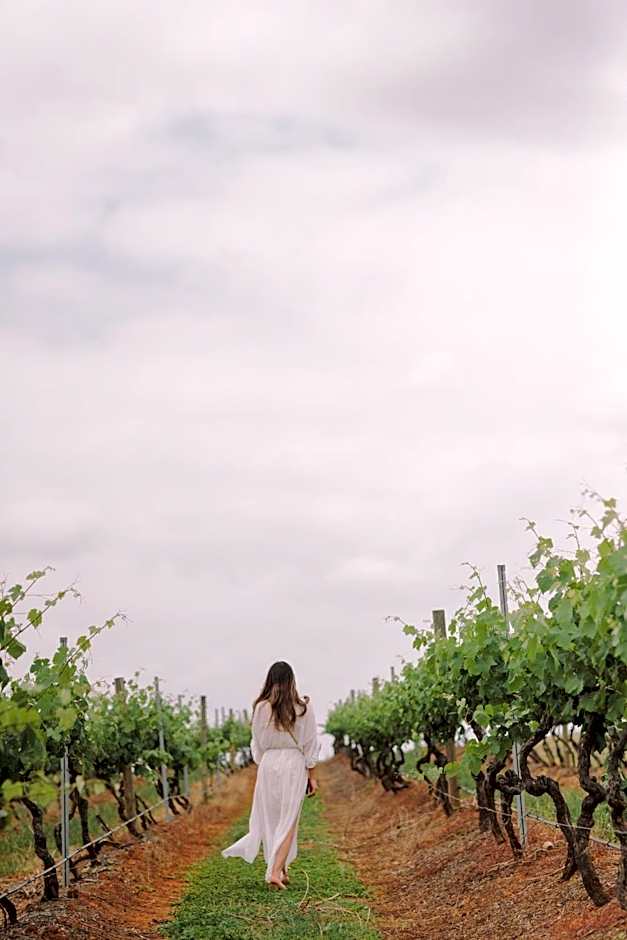 Bimbadgen Estate Vineyard