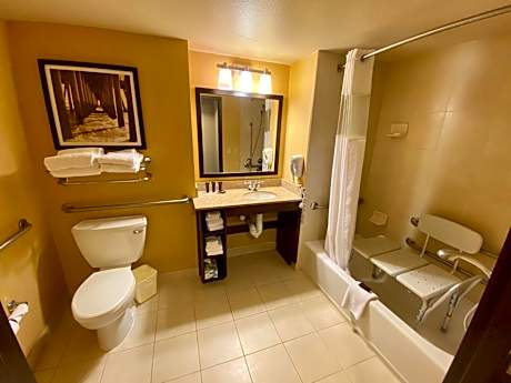 King Room - Non Smoking