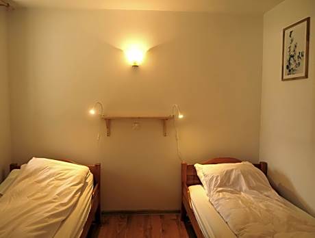 Double Room with Terrace